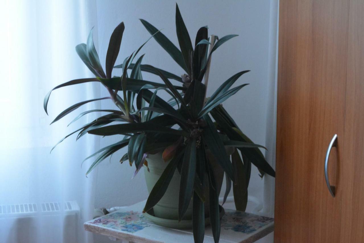 M@D Apartment Timișoara Zewnętrze zdjęcie